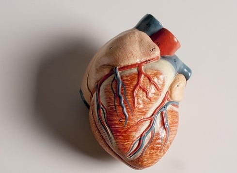 heart 3d