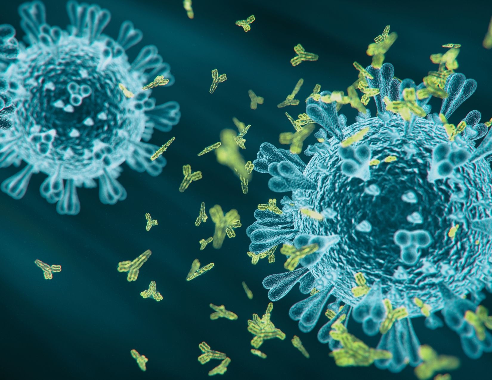 антитела к коронавирусу у реципиентов почки